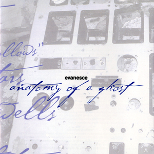 被糙汉强行灌满精H肉视频
